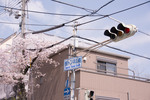 DSC_1611.jpg