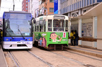 DSC_4900.jpg