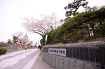 DSC_4916.jpg