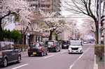 DSC_4924.jpg