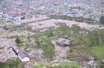 DSC_4935.jpg