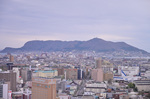 DSC_4942.jpg