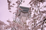 DSC_4947.jpg