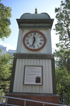 DSC_6425.jpg